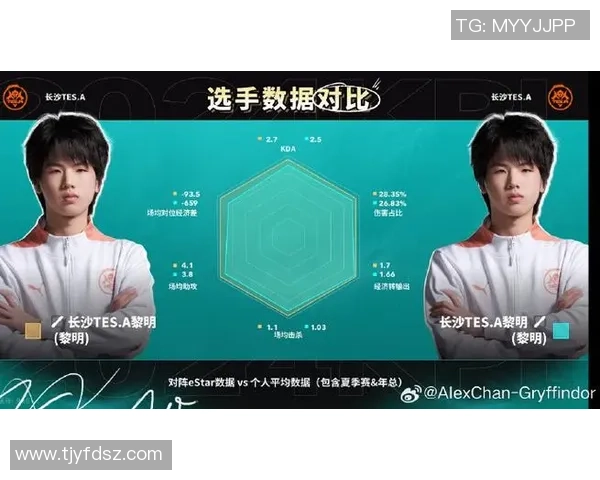 TES战队个人能力深度分析与对战表现评估