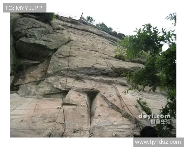 武汉攀岩队实力对比深度解析及未来发展趋势探讨 武汉攀岩队实力对比深度解析及未来发展趋势探讨