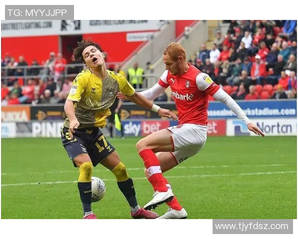 斯旺西主场迎战罗瑟全力争胜期待精彩对决 斯旺西主场迎战罗瑟全力争胜期待精彩对决